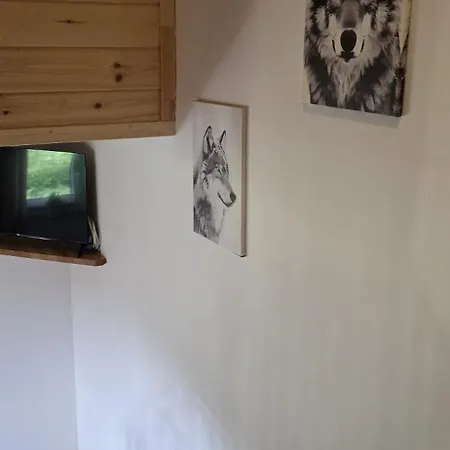 Tatil Evi Wilcza Ostoja 2